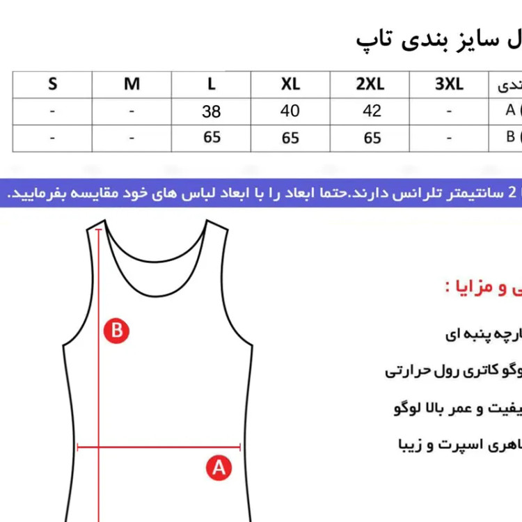 تاپ ورزشی زنانه طرح جوردن فلامنت رنگ کله غازی با کاپ جداگانه
